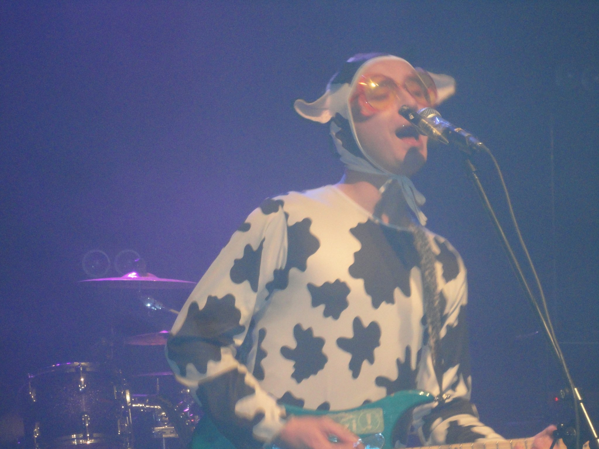 La vache, La vache …